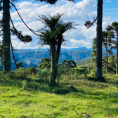 Terreno a Venda - Serra Catarinense - Vista para o Vale