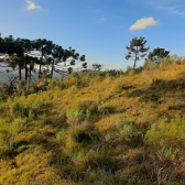 Terreno a Venda - Urubici - �tima Localiza��o - Vista das Montanhas 