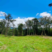 Terreno a Venda - Urubici - Serra Catarinense 