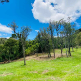Terreno a Venda - Urubici - Serra Catarinense 