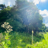 Terreno a Venda - Urubici - Serra Catarinense - Excelente Localiza��o