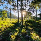 Terreno a Venda - Urubici - Serra Catarinense - Por do Sol