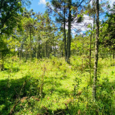 Terreno a Venda - Urubici - Serra Catarinense - S�o Pedro
