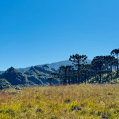 TERRENO COM 2 HECTARES � VENDA EM URUBICI - PRODU��O DE ORG�NICOS -  LADO DA FRUTAS FINAS 