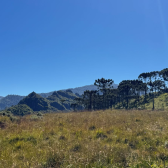 TERRENO COM 2 HECTARES � VENDA EM URUBICI - PRODU��O DE ORG�NICOS -  LADO DA FRUTAS FINAS 