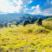 Terreno com vista do por do sol - Urubici - Serra Catarinense