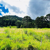 Terreno de 2 hectares em Urubici com excelente localiza��o