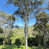Terreno com 2ha - Casa semi pronta - Urubici - Serra Catarinense