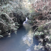 Terreno de dois hectares com casa e cabana � venda