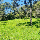 Terreno em condomnio fechado - Curucaca - Serra Catarinense