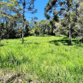Terreno em condomnio fechado - Curucaca - Serra Catarinense