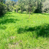 Terreno em condomnio fechado - Curucaca - Serra Catarinense