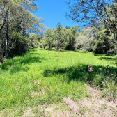 Terreno em condomnio fechado - Curucaca - Serra Catarinense