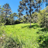 Terreno em condomnio fechado - Curucaca - Serra Catarinense