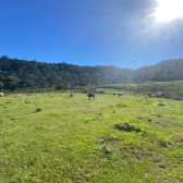 Terrreno � Venda  Mundo Novo 