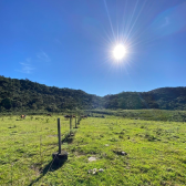 Terrreno � Venda  Mundo Novo 