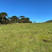 Terrreno � Venda  Mundo Novo 