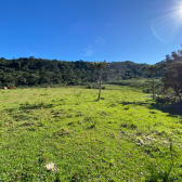 Terrreno � Venda  Mundo Novo 