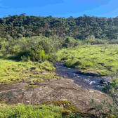 Terrreno � Venda  Mundo Novo 