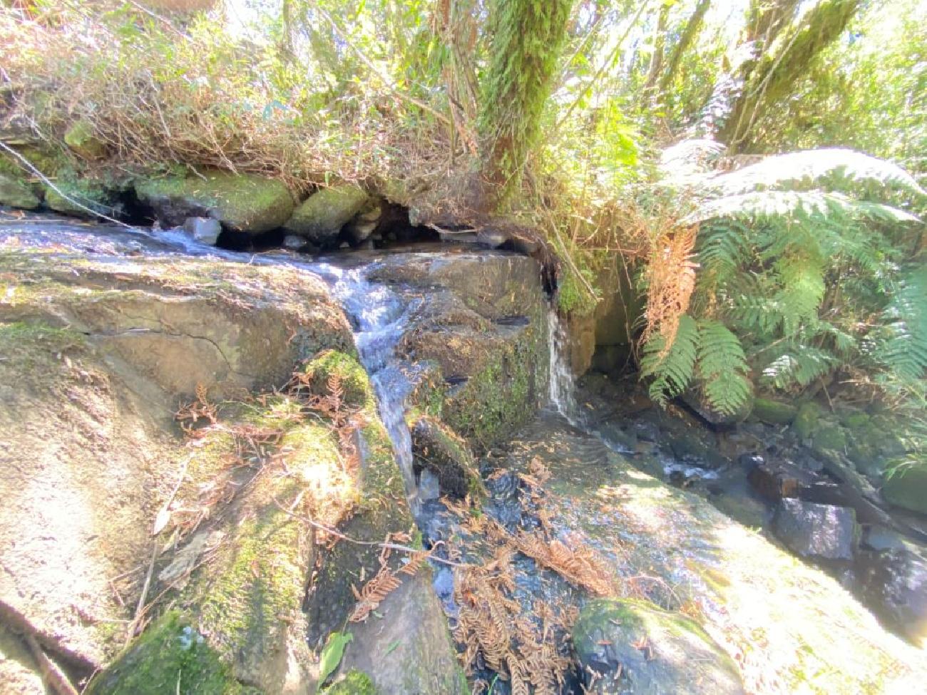 Terreno a Venda com �gua corrente - Urubici - Serra Catarinense