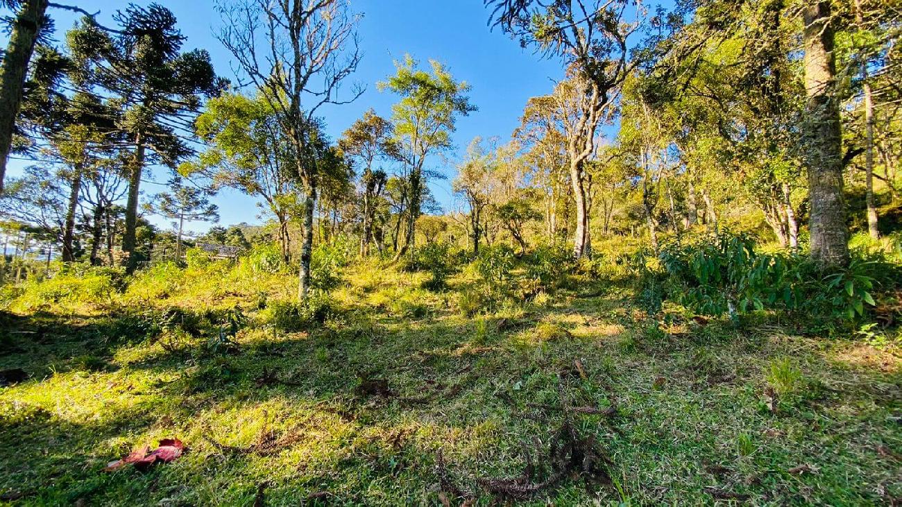 Terreno a Venda - Excelente Localiza��o - Vista  das Montanhas