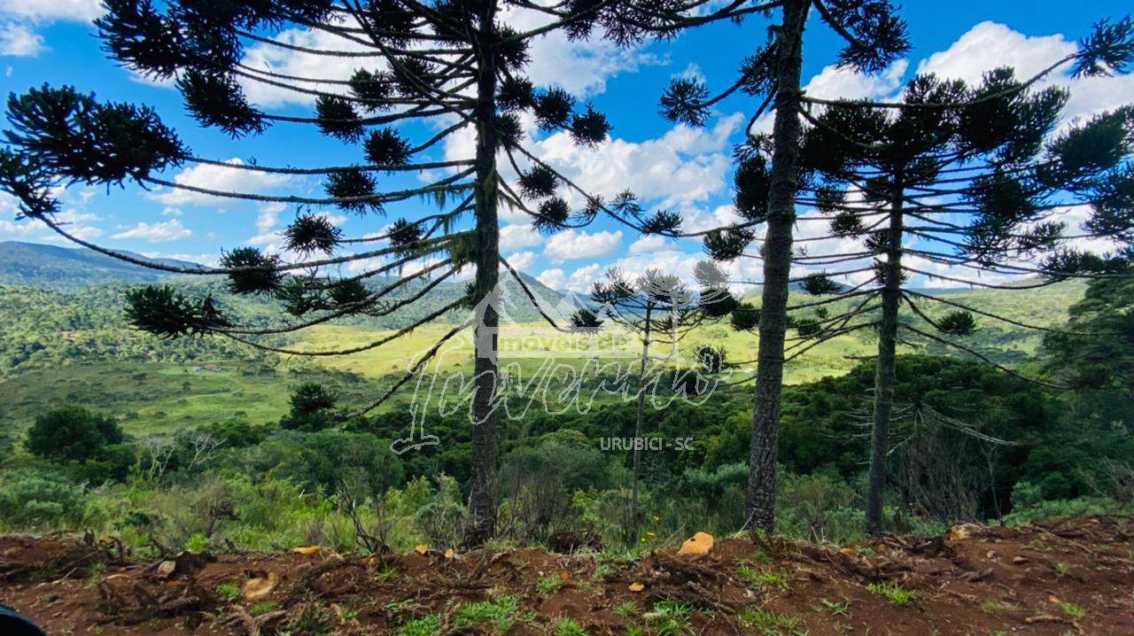 Terreno � Venda - Linda Vista das Montanhas -  Crioulas 