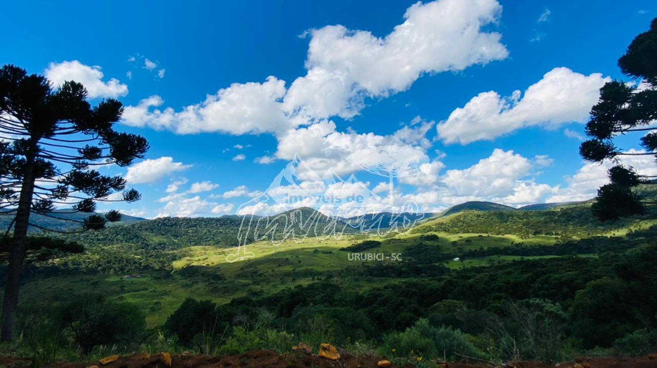 Terreno a Venda - Urubici - Serra Catarinense - Excelente Localiza��o