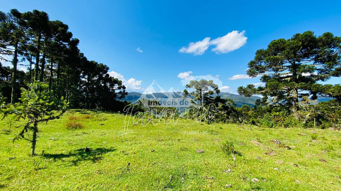 Terreno a Venda - Urubici - Serra Catarinense - S�o Pedro