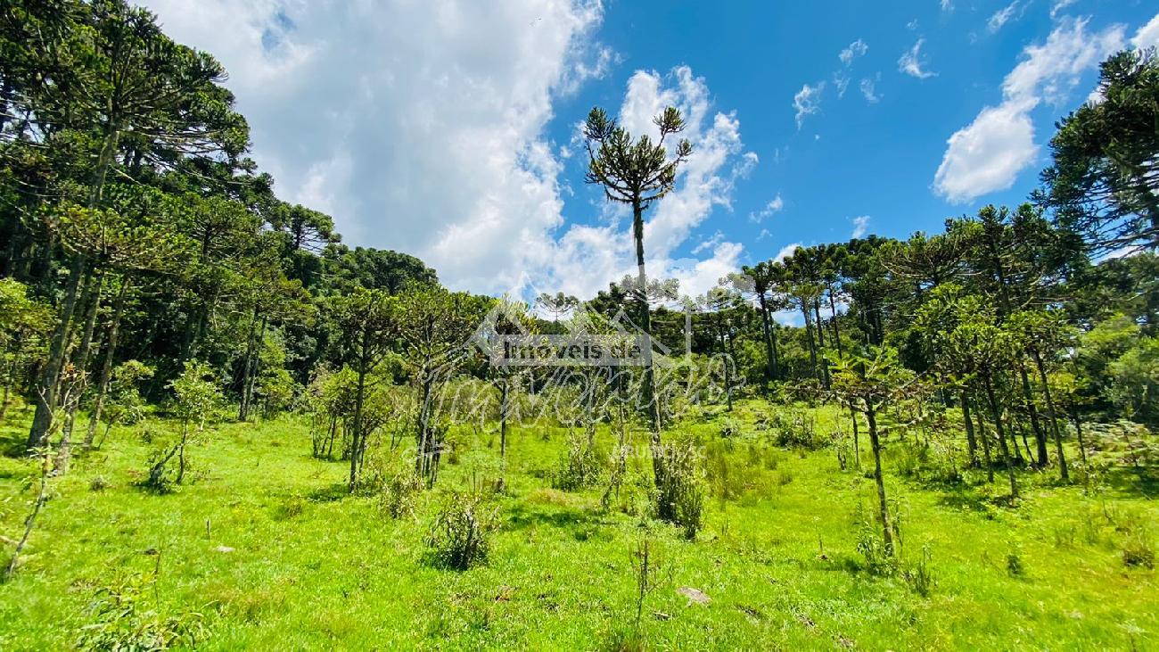 Terreno a Venda - Urubici - Serra Catarinense - S�o Pedro