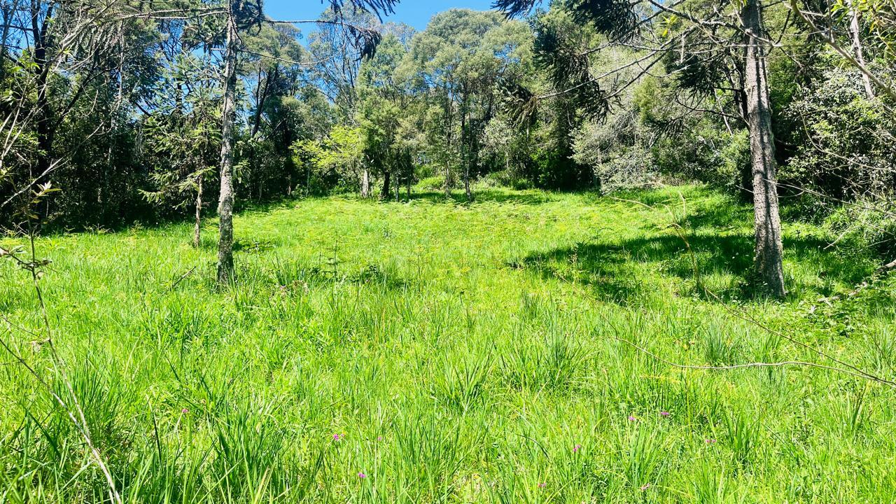 Terreno em condomnio fechado - Curucaca - Serra Catarinense