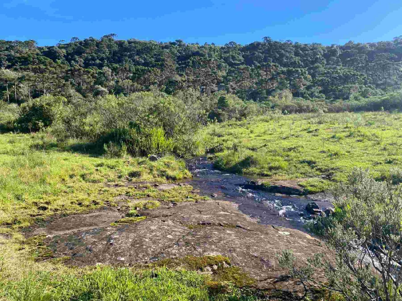 Terrreno � Venda  Mundo Novo 